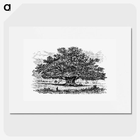 3-35_British-Library_picture
