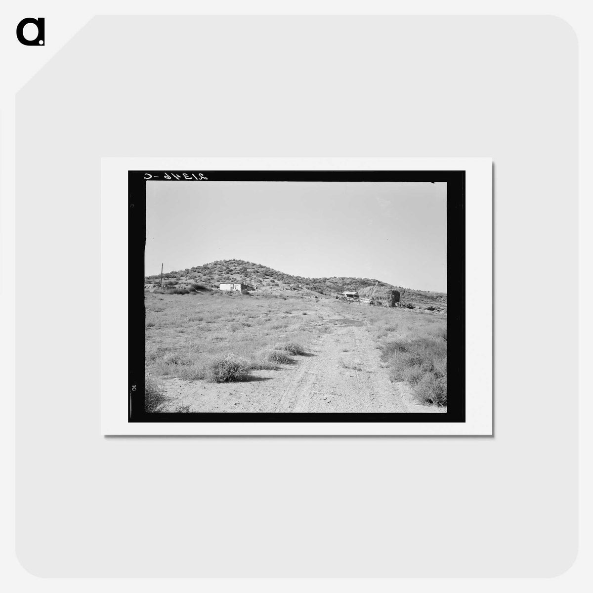 3-35_Dorothea-Lange_hagaki