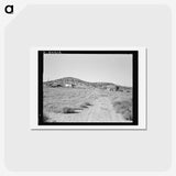 3-35_Dorothea-Lange_hagaki