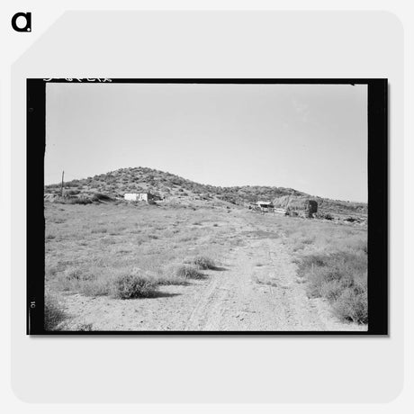 3-35_Dorothea-Lange_picture-crop