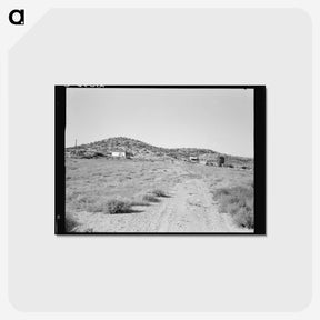 3-35_Dorothea-Lange_postcard