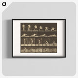 3-35_Eadweard-Muybridge_blk
