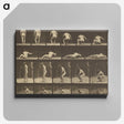 3-35_Eadweard-Muybridge_canvas