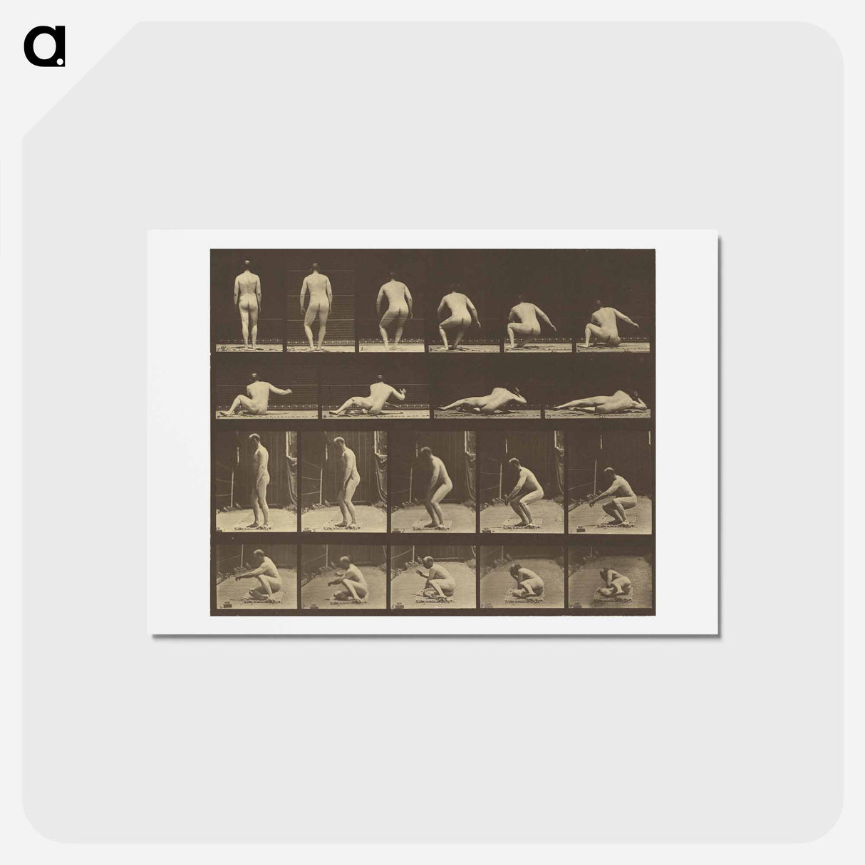 アートポストカード-Animal Locomotion
 - エドワード マイブリッジ Postcard.