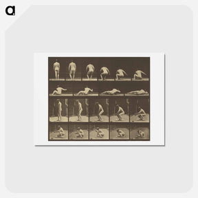アートポストカード-Animal Locomotion
 - エドワード マイブリッジ Postcard.