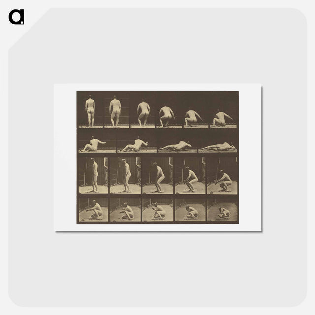 アートポストカード-Animal Locomotion
 - エドワード マイブリッジ Postcard.
