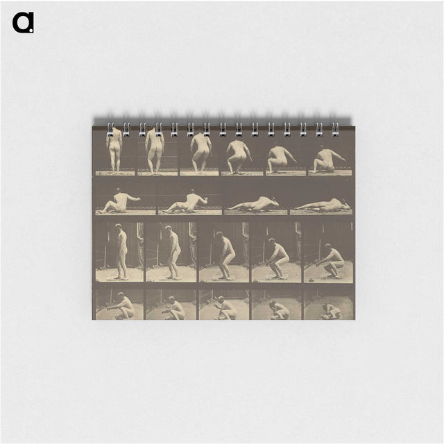 3-35_Eadweard-Muybridge_memo
