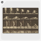 3-35_Eadweard-Muybridge_picture-crop