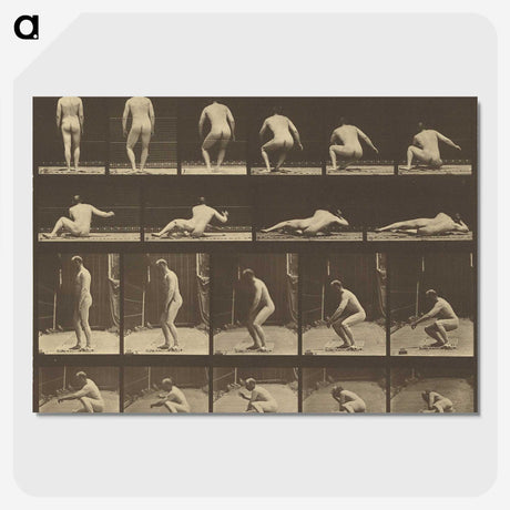 3-35_Eadweard-Muybridge_picture-crop