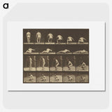 3-35_Eadweard-Muybridge_picture