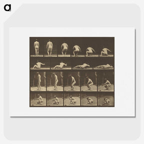 3-35_Eadweard-Muybridge_picture