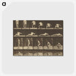 3-35_Eadweard-Muybridge_postcard