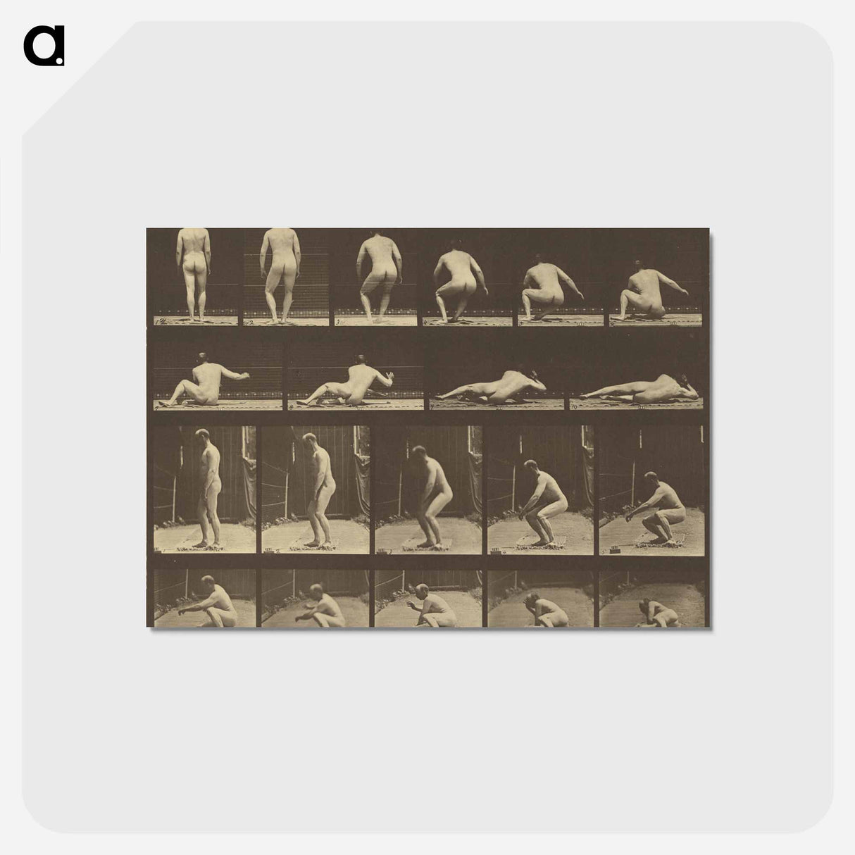 アートポストカード-Animal Locomotion
 - エドワード マイブリッジ Postcard.