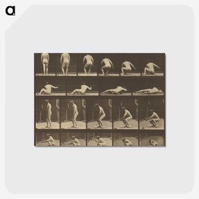 3-35_Eadweard-Muybridge_postcard
