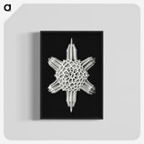 3-35_Ernst-Haeckel_blk-crop