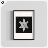 3-35_Ernst-Haeckel_blk