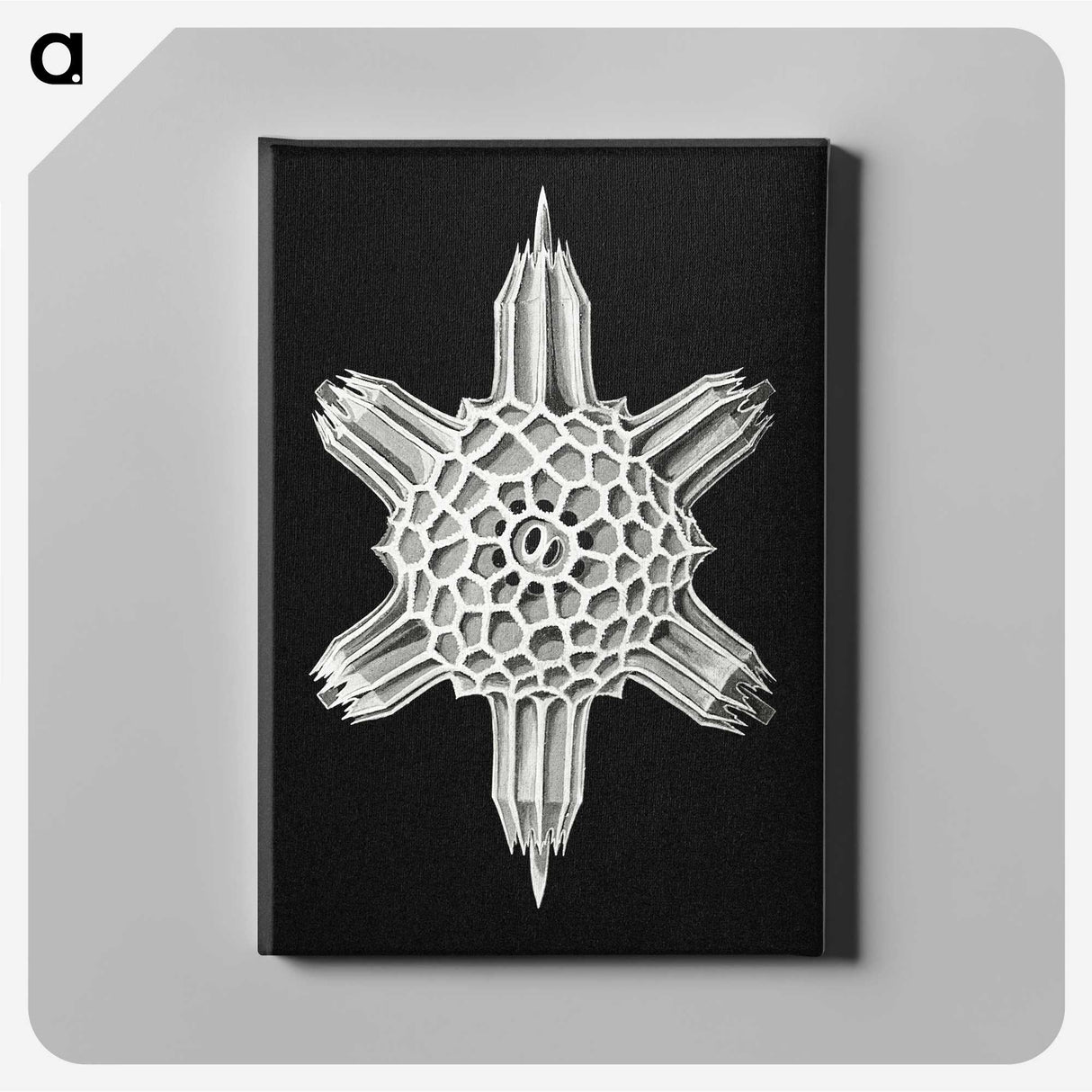 3-35_Ernst-Haeckel_canvas