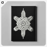3-35_Ernst-Haeckel_canvas