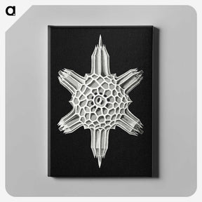 3-35_Ernst-Haeckel_canvas