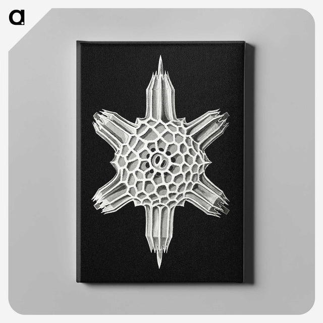 3-35_Ernst-Haeckel_canvas