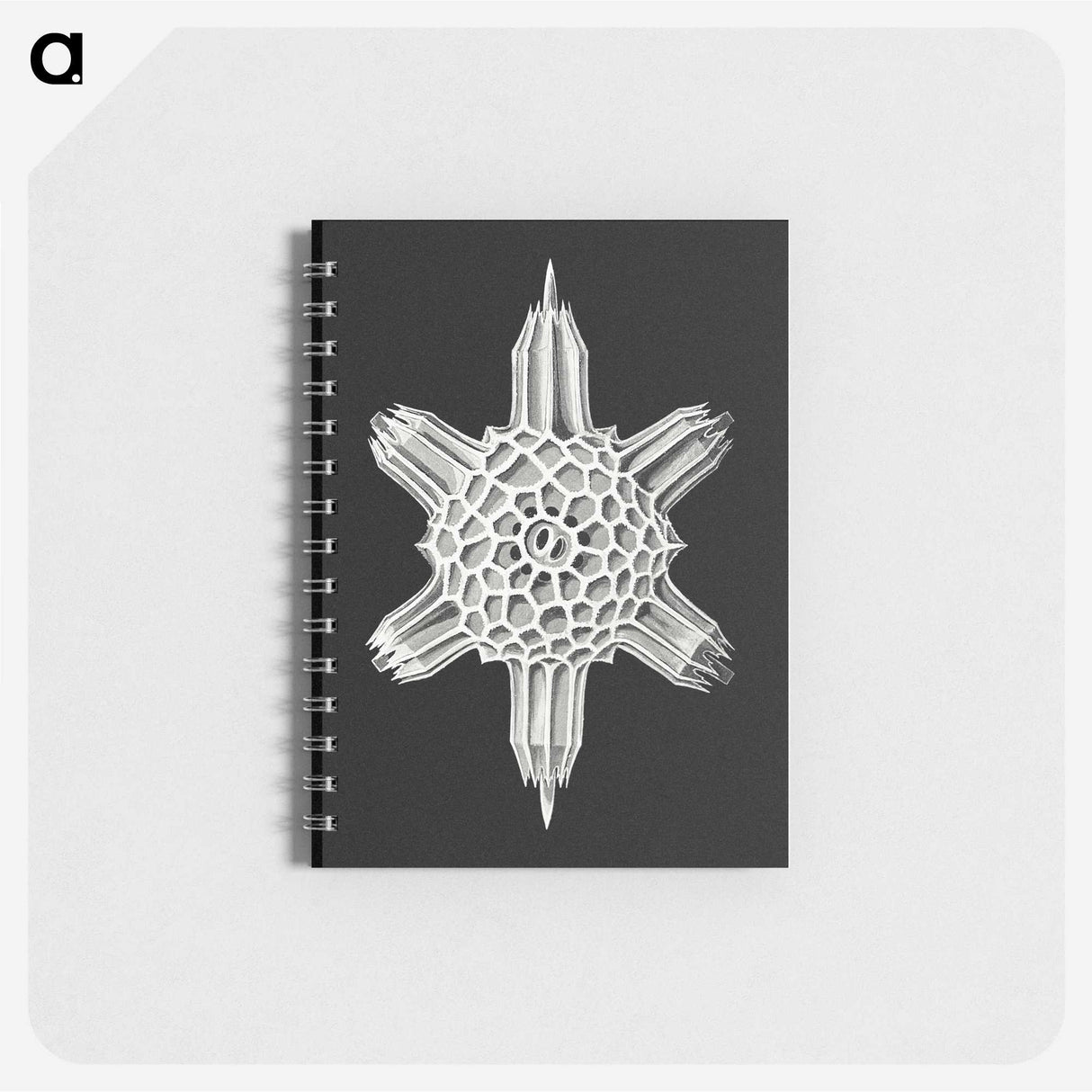 3-35_Ernst-Haeckel_memo