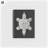3-35_Ernst-Haeckel_memo