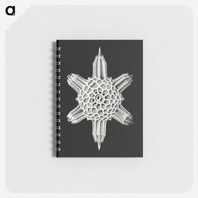 3-35_Ernst-Haeckel_memo