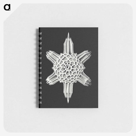 3-35_Ernst-Haeckel_memo