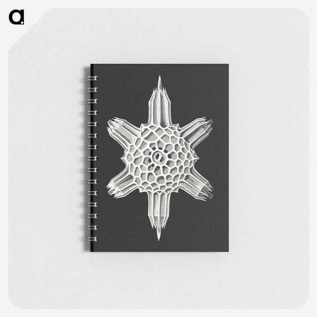3-35_Ernst-Haeckel_memo
