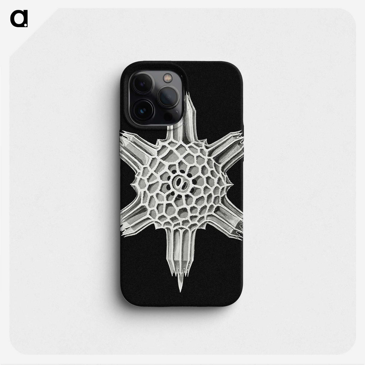 3-35_Ernst-Haeckel_phone