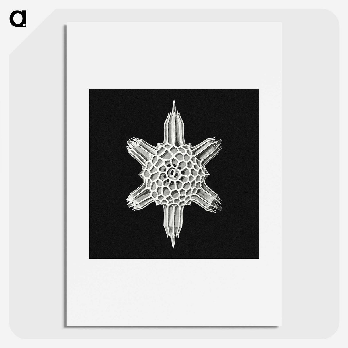 3-35_Ernst-Haeckel_picture
