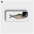3-35_Ichtyologie-ou-Histoire-naturelle_phone