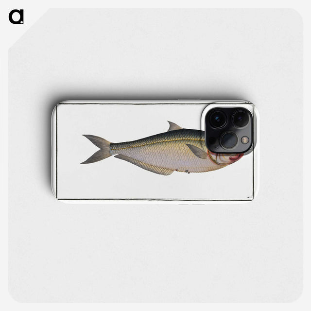 3-35_Ichtyologie-ou-Histoire-naturelle_phone