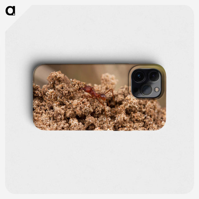 3-35_Insects-Unlocked-Project_phone