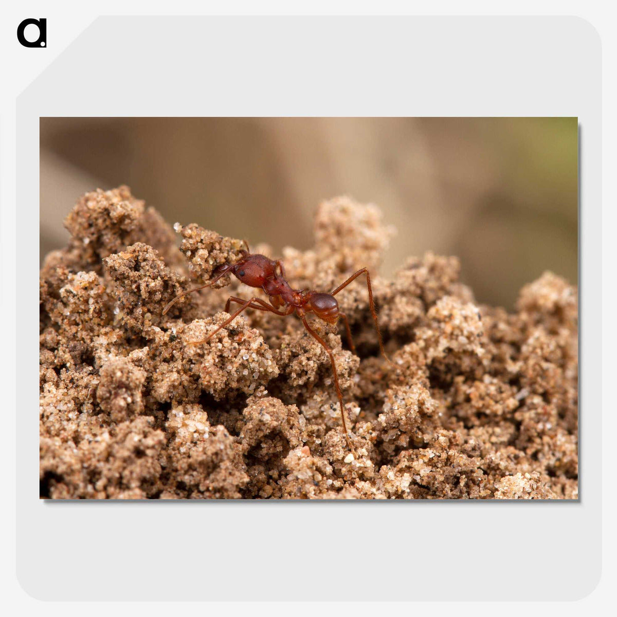 3-35_Insects-Unlocked-Project_picture-crop