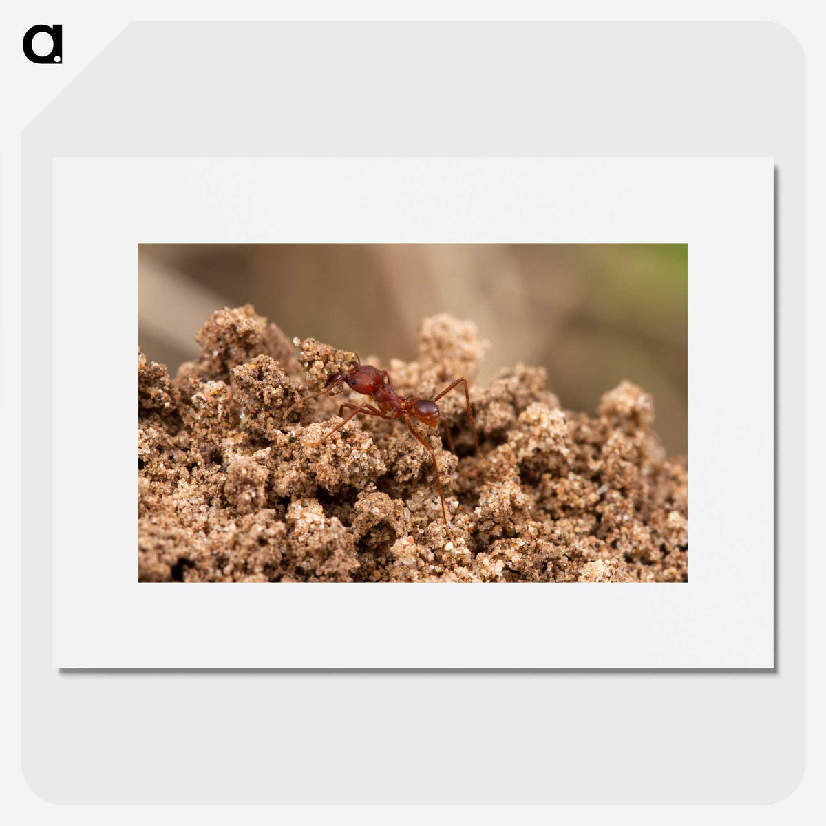 3-35_Insects-Unlocked-Project_picture