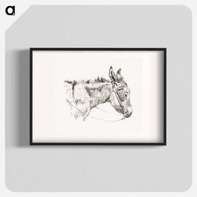 アートポスター-Head of a donkey - ジャン ベルナール Poster.