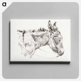 アートパネル-Head of a donkey - ジャン ベルナール Canvas.