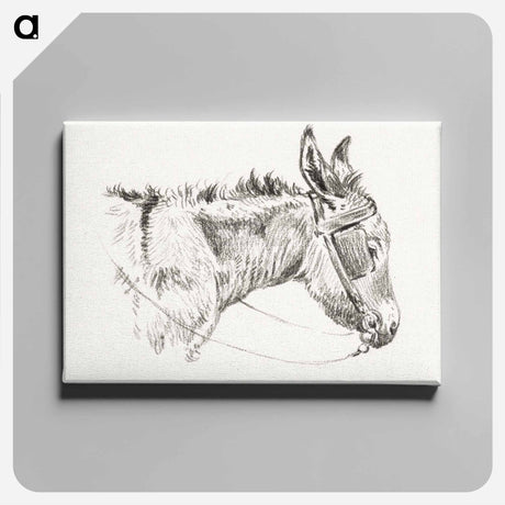 アートパネル-Head of a donkey - ジャン ベルナール Canvas.