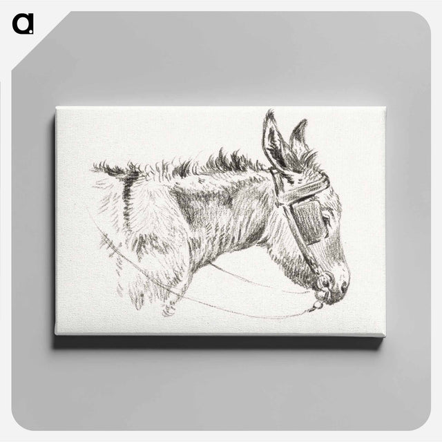 アートパネル-Head of a donkey - ジャン ベルナール Canvas.