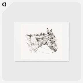 アートポストカード-Head of a donkey - ジャン ベルナール Postcard.