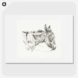 3-35_Jean-Bernard_picture