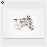 Head of a donkey - ジャン ベルナール Poster.