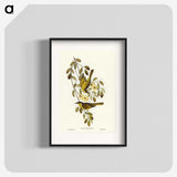 3-35_John-Gould_blk