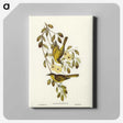 3-35_John-Gould_canvas