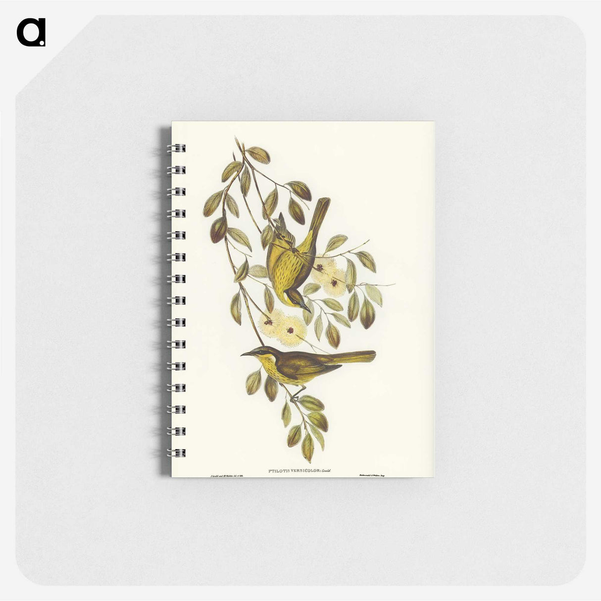 3-35_John-Gould_memo