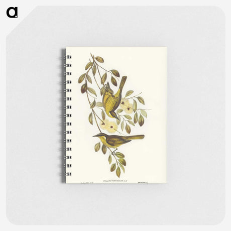 3-35_John-Gould_memo