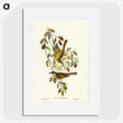 3-35_John-Gould_picture
