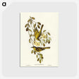 3-35_John-Gould_postcard