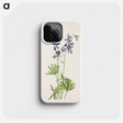 3-35_Mary-Vaux-Walcott_phone